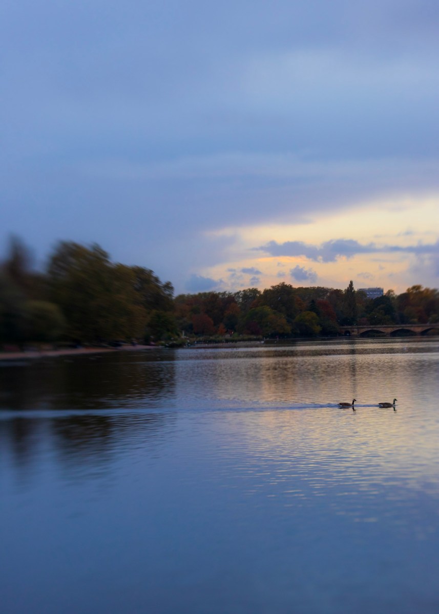 Hyde Park at Sunset